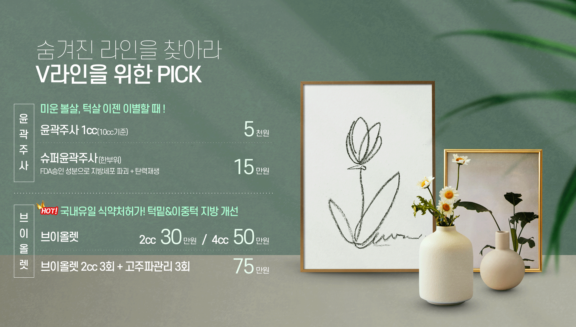 v라인 v윤곽