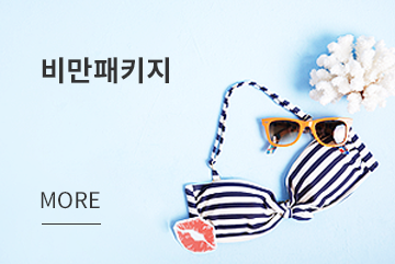 비만패키지